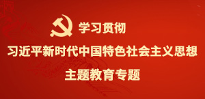 學習貫徹習近平新時代中國特色社會主義思想主題教育專題