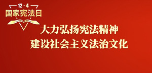 大力弘揚憲法精神  建設社會主義法治文化 